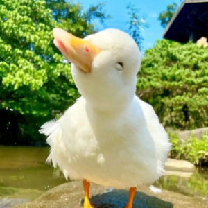 Profile photo of John Q Public